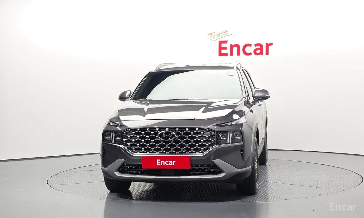 Zdjęcie 3 - Hyundai Santa Fe