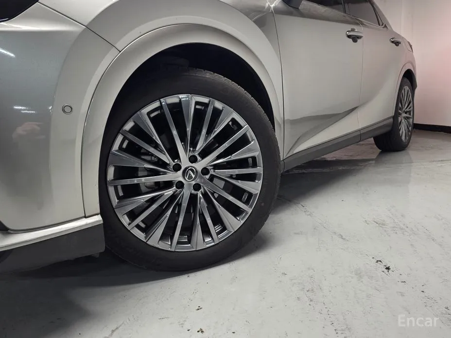 Фото 20 - Lexus RX