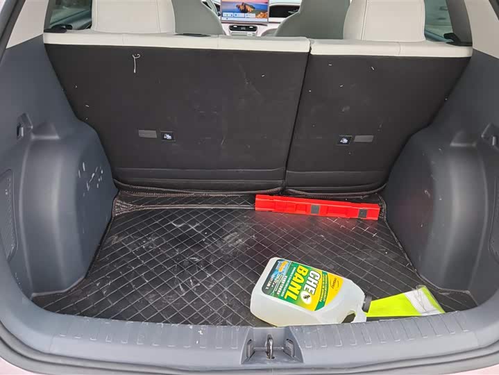 Фото 4 - Geely Galaxy Geome