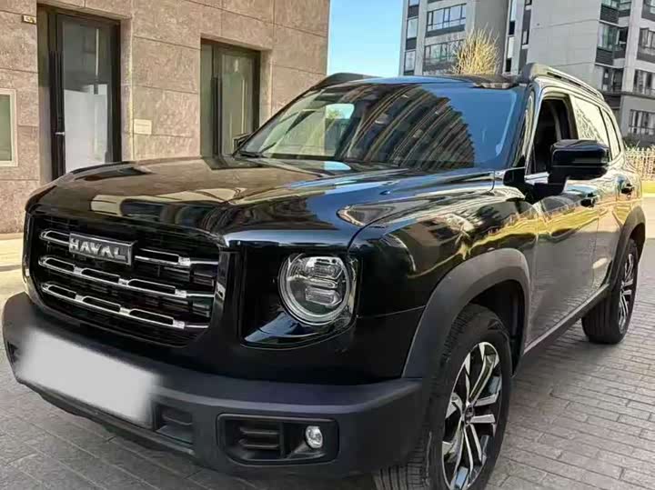 Фото 1 - Haval Dargo