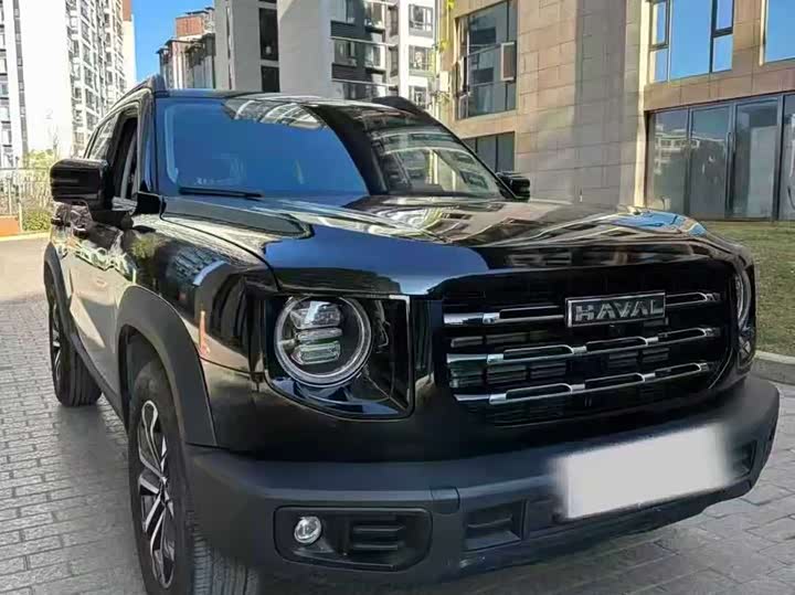 Фото 3 - Haval Dargo