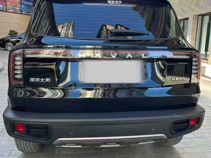 Фото 8 - Haval Dargo