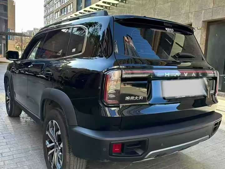 Фото 9 - Haval Dargo