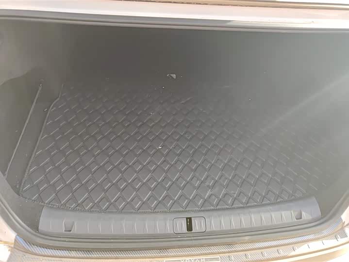 Фото 4 - Voyah Passion