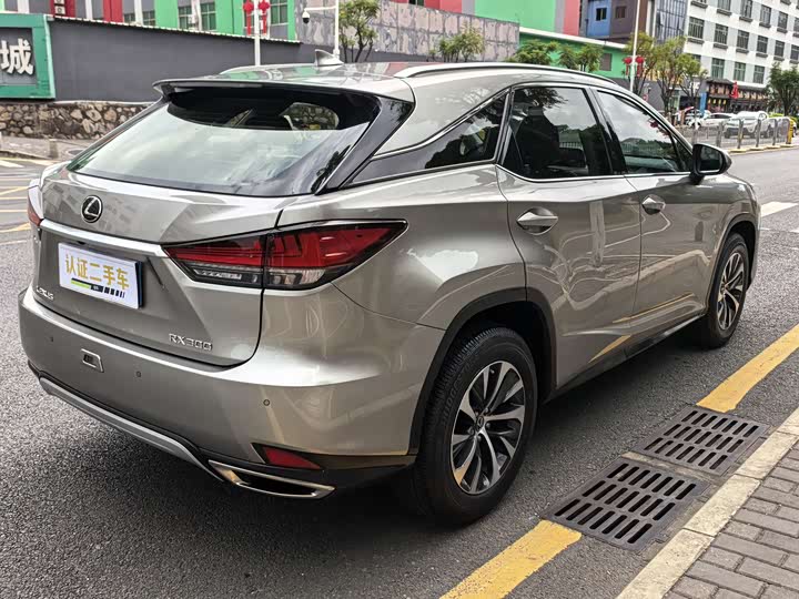 Фото 5 - Lexus RX