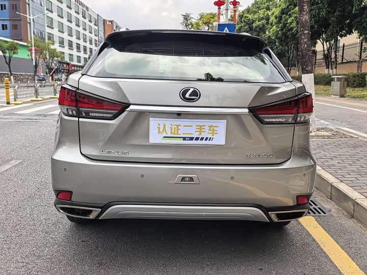 Фото 6 - Lexus RX