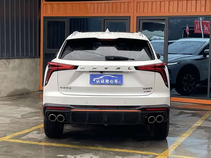 Фото 8 - Haval F7 (Monster)