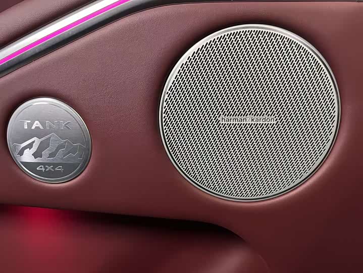 Фото 5 - Tank 700 Hybrid