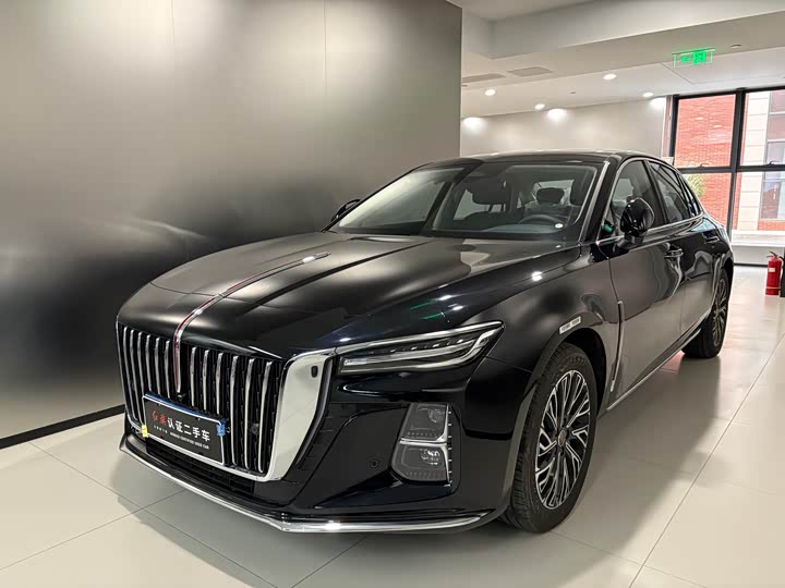 Фото 1 - Hongqi H5