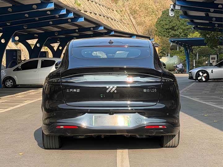 Фото 5 - IM motors LS6