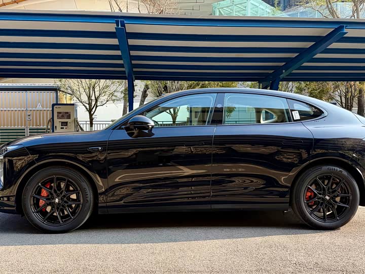 Фото 7 - IM motors LS6