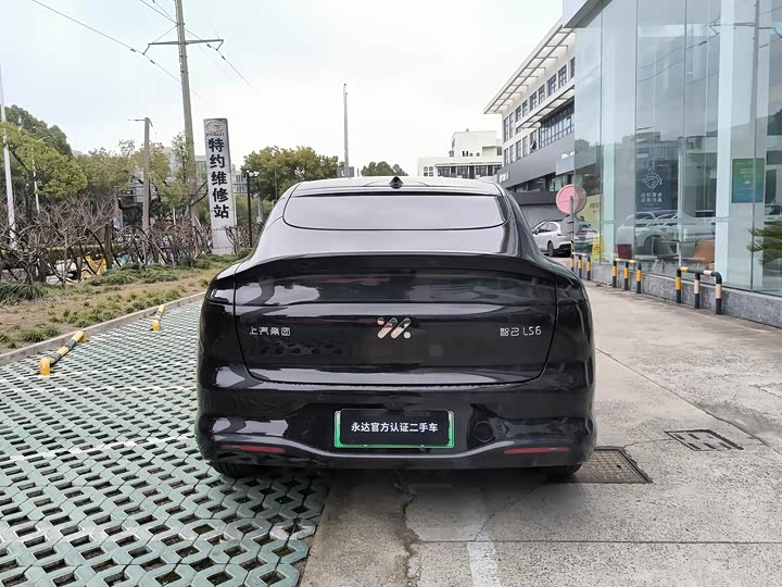 Photo 2 - IM motors LS6