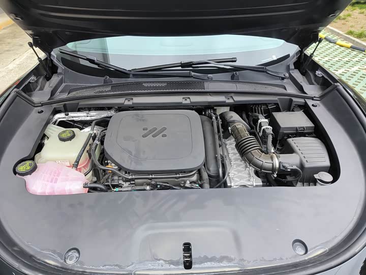 Photo 6 - IM motors LS6