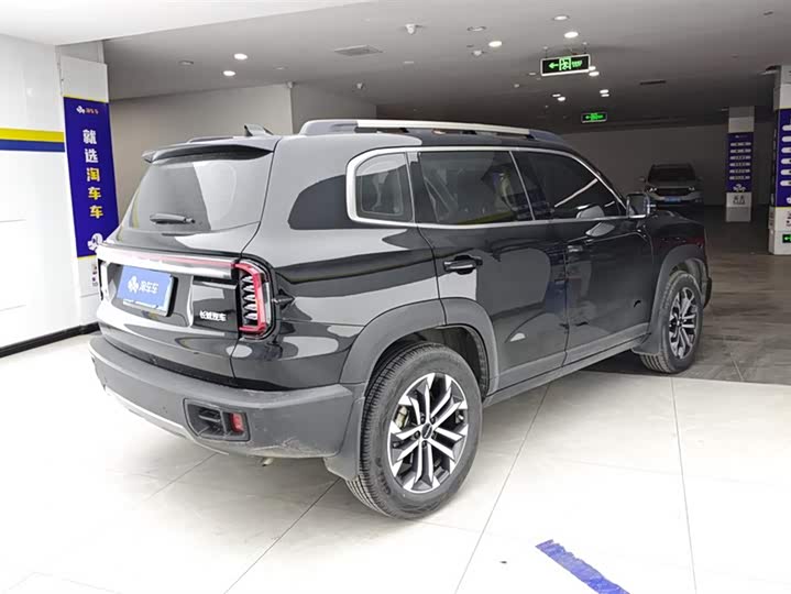 Фото 3 - Haval Dargo