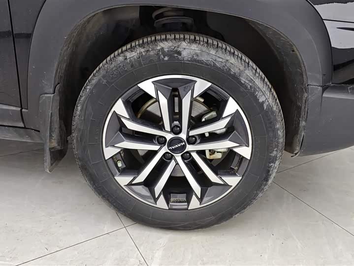 Фото 6 - Haval Dargo