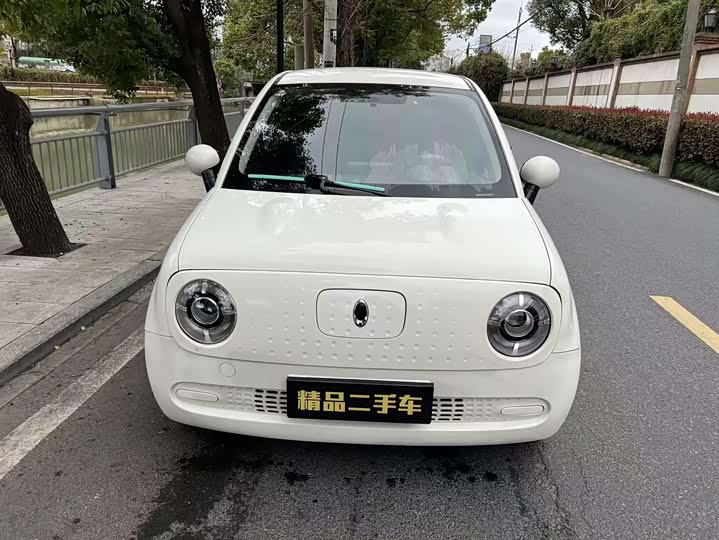 Фото 2 - Ora Black Cat