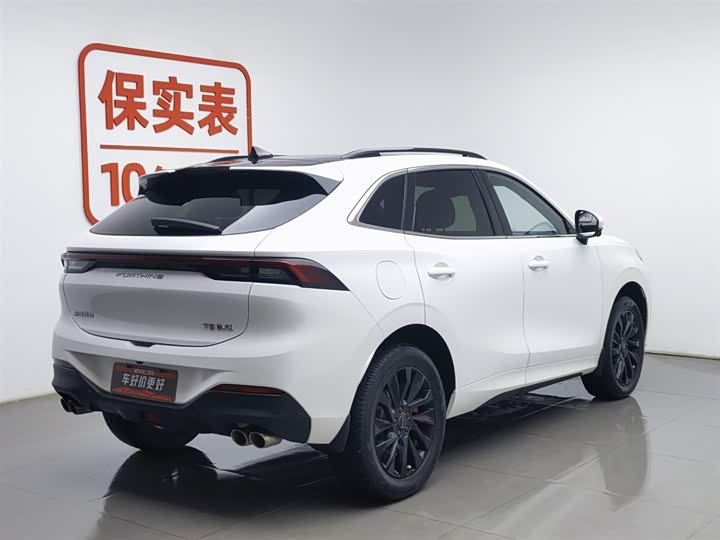 Фото 2 - Dongfeng Forthing T5 EVO