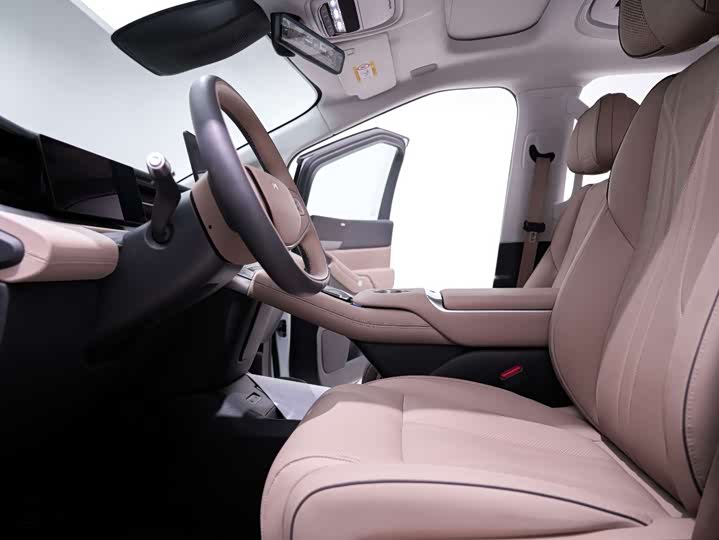 Фото 7 - XPeng X9