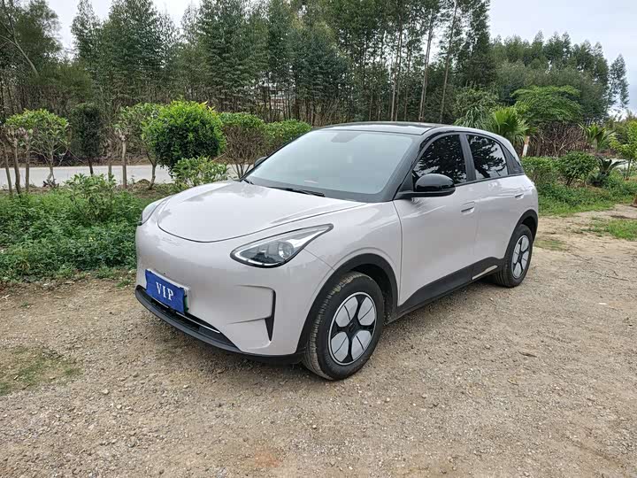 Фото 1 - Geely Galaxy Geome