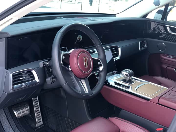 Фото 7 - Hongqi E-HS9