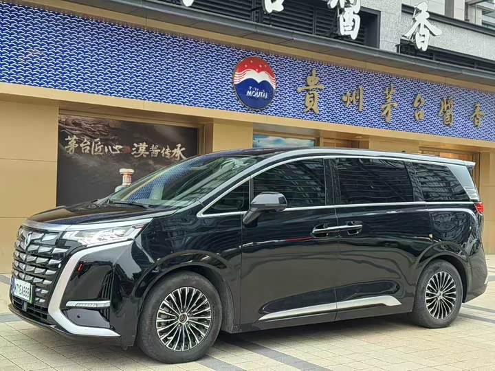 Фото 1 - Denza D9