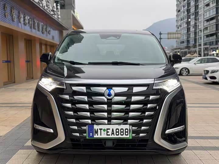 Фото 2 - Denza D9