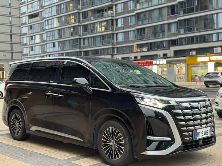 Фото 3 - Denza D9