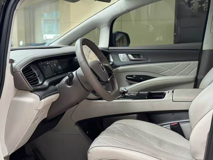 Фото 4 - Denza D9