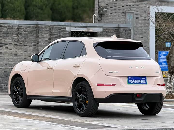 Фото 3 - Ora Good Cat (03)