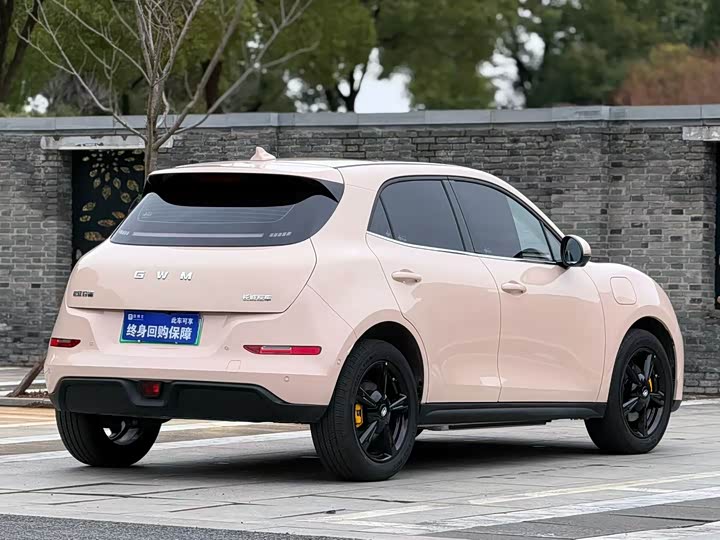 Фото 4 - Ora Good Cat (03)