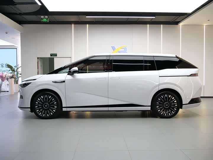 Фото 4 - XPeng X9