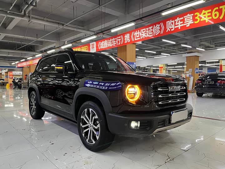 Фото 6 - Haval Dargo