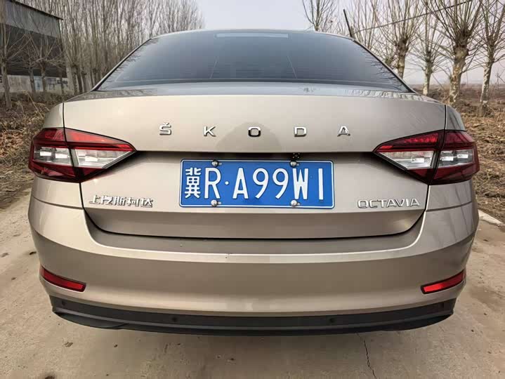 Фото 5 - Skoda Octavia Pro