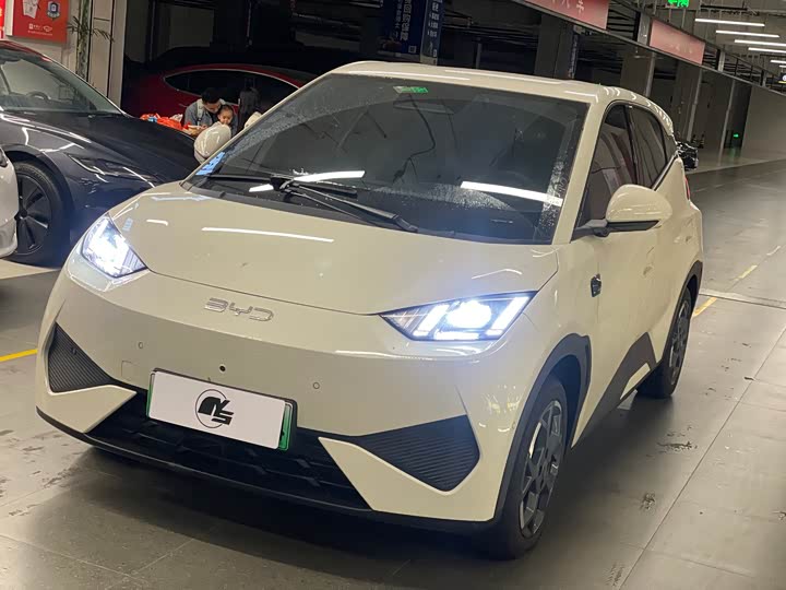 Фото 1 - BYD Seagull