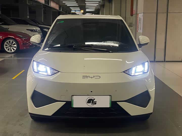 Фото 2 - BYD Seagull