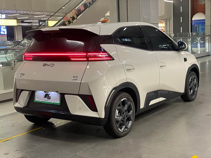 Фото 4 - BYD Seagull