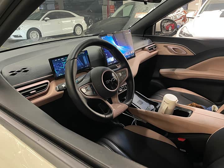 Фото 8 - BYD Seagull