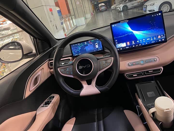 Фото 9 - BYD Seagull