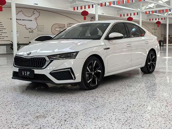 Фото 1 - Skoda Octavia Pro