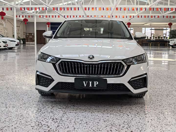 Фото 2 - Skoda Octavia Pro