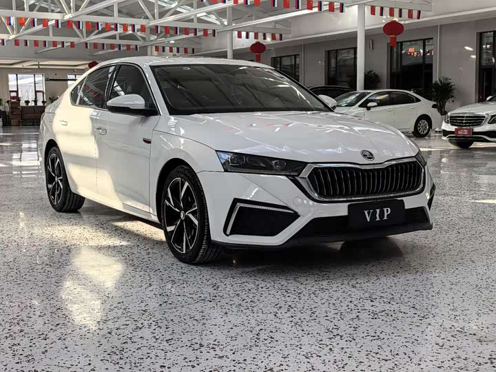 Фото 3 - Skoda Octavia Pro