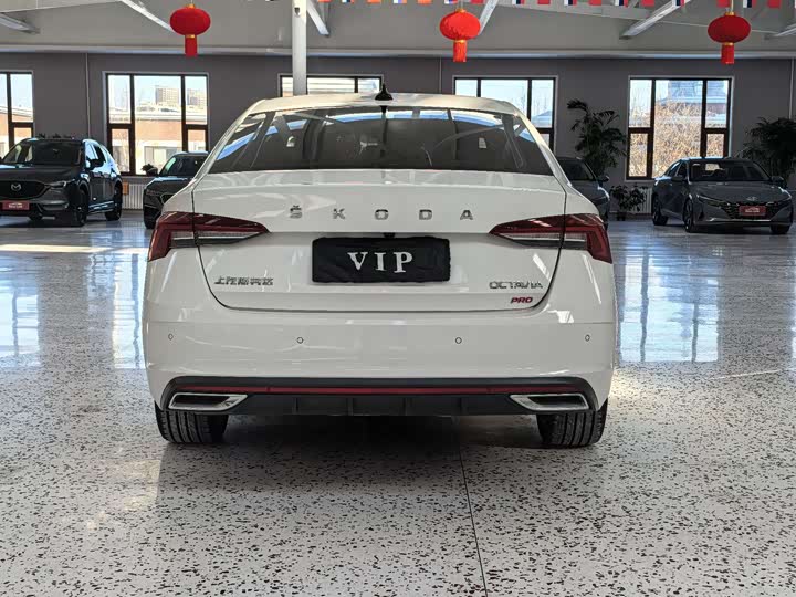 Фото 4 - Skoda Octavia Pro