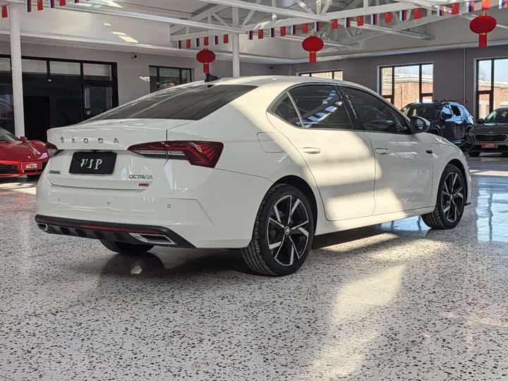 Фото 5 - Skoda Octavia Pro