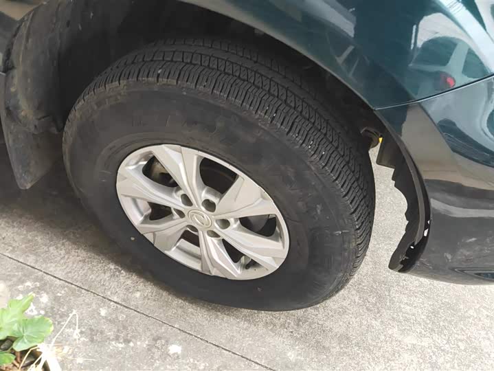 Фото 6 - Dongfeng Rich 6