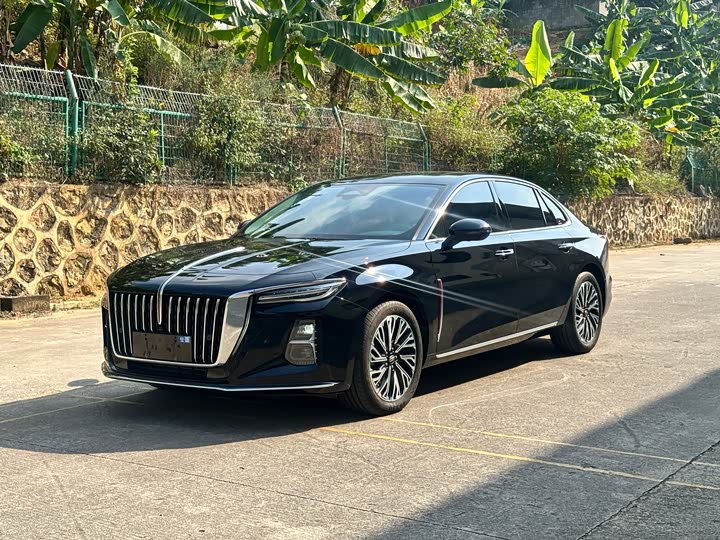 Фото 1 - Hongqi H5