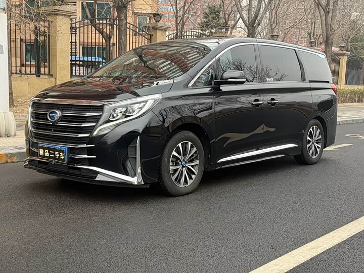 Фото 1 - GAC Trumpchi M8