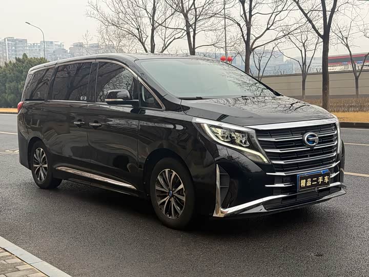 Фото 2 - GAC Trumpchi M8
