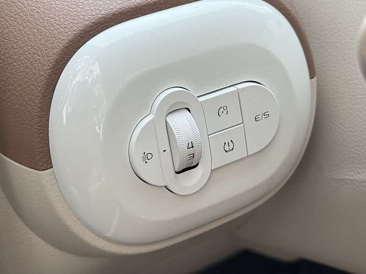 Фото 7 - Bestune Pony