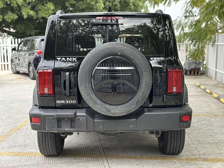 Фото 5 - Tank 300