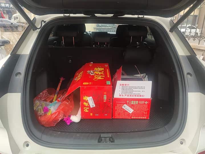 Фото 4 - BYD Sea Lion 06 Hybrid/EV